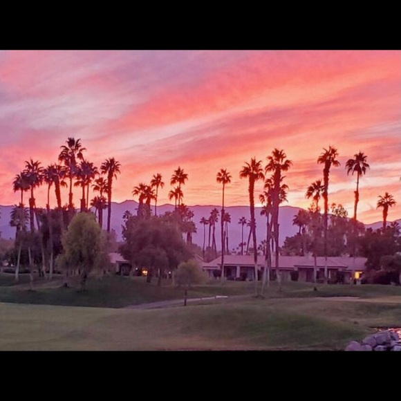 Meet your Posher, Jana - Picture 3 of 4